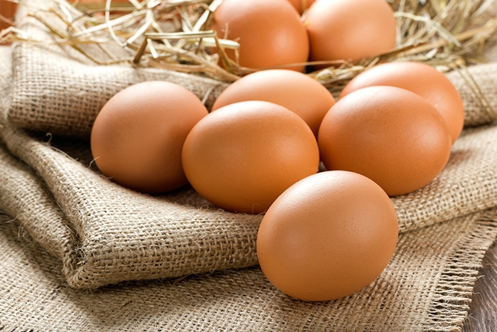 Quelles sont les caractéristiques d&rsquo;un oeuf bio ?