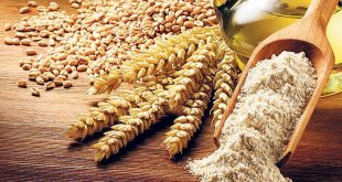 Le Maroc augmente ses achats de céréales de 49,8%