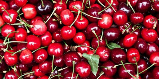 France : Un décret d'urgence interdit les cerises américaines et autorise celles de la Turquie