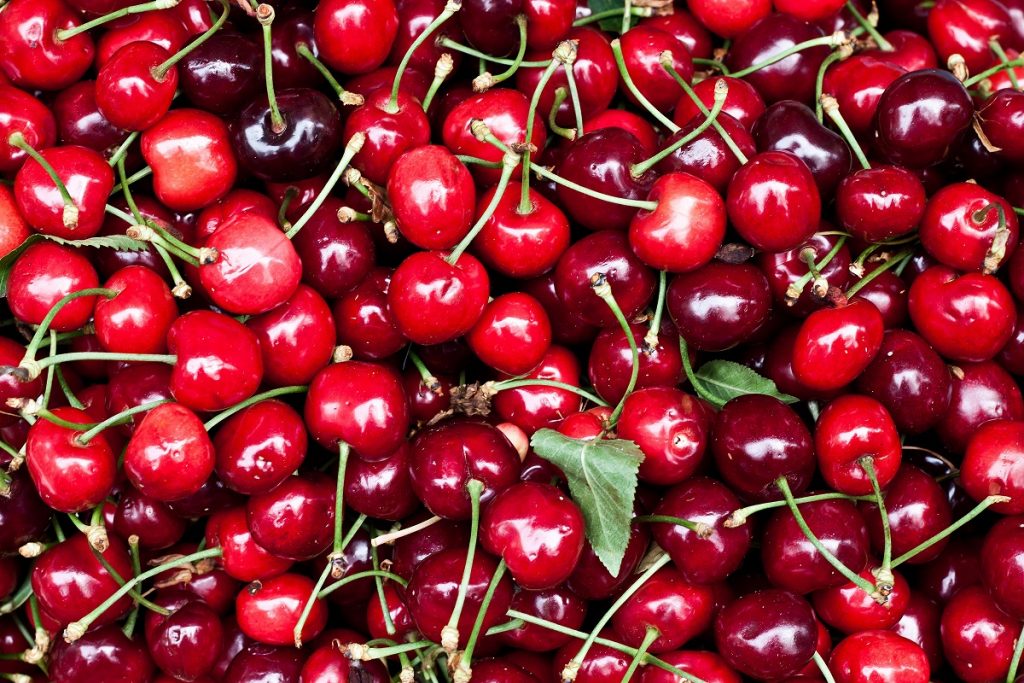 France : Un décret d&rsquo;urgence interdit les cerises américaines et autorise celles de la Turquie