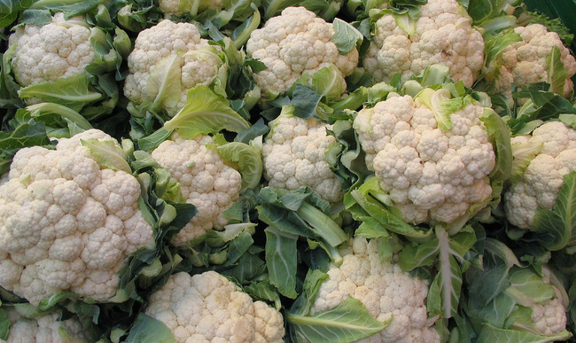 La production mondiale de chou-fleur a augmenté de 3,7%