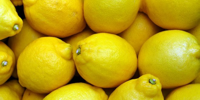 Covid-19 : La Turquie assouplit les restrictions sur les exportations de citron