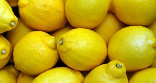 citron chinois marché international