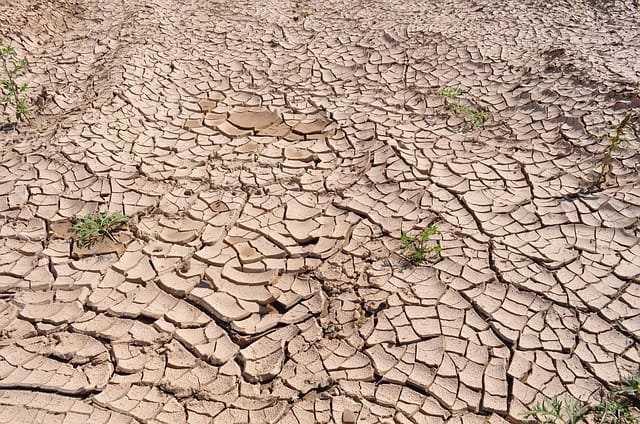 COP22: Inclure la société civile dans la lutte contre les changements climatiques