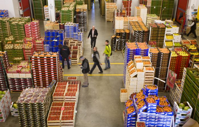 Marché de gros : Qu&rsquo;en est-il du projet de restructuration ?