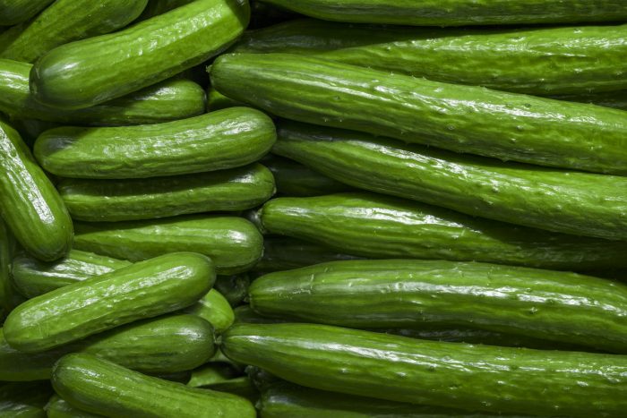 Création d&rsquo;un emballage biodégradable à partir de pelure de concombre