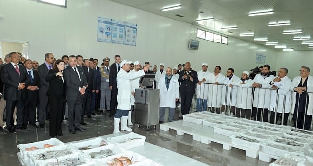 Une conserverie de poisson à Dakhla?