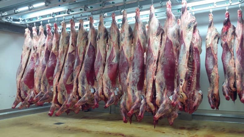 Cour des Comptes: Bilan sur les abattoirs du Maroc