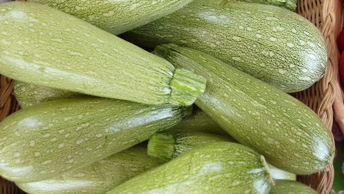 Courgettes : Le Maroc est le premier fournisseur de l&rsquo;Espagne