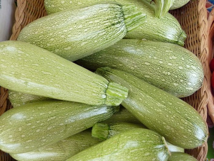 Courgettes : Un marché sous haute concurrence