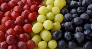 Aperçu du marché mondial des raisins de table