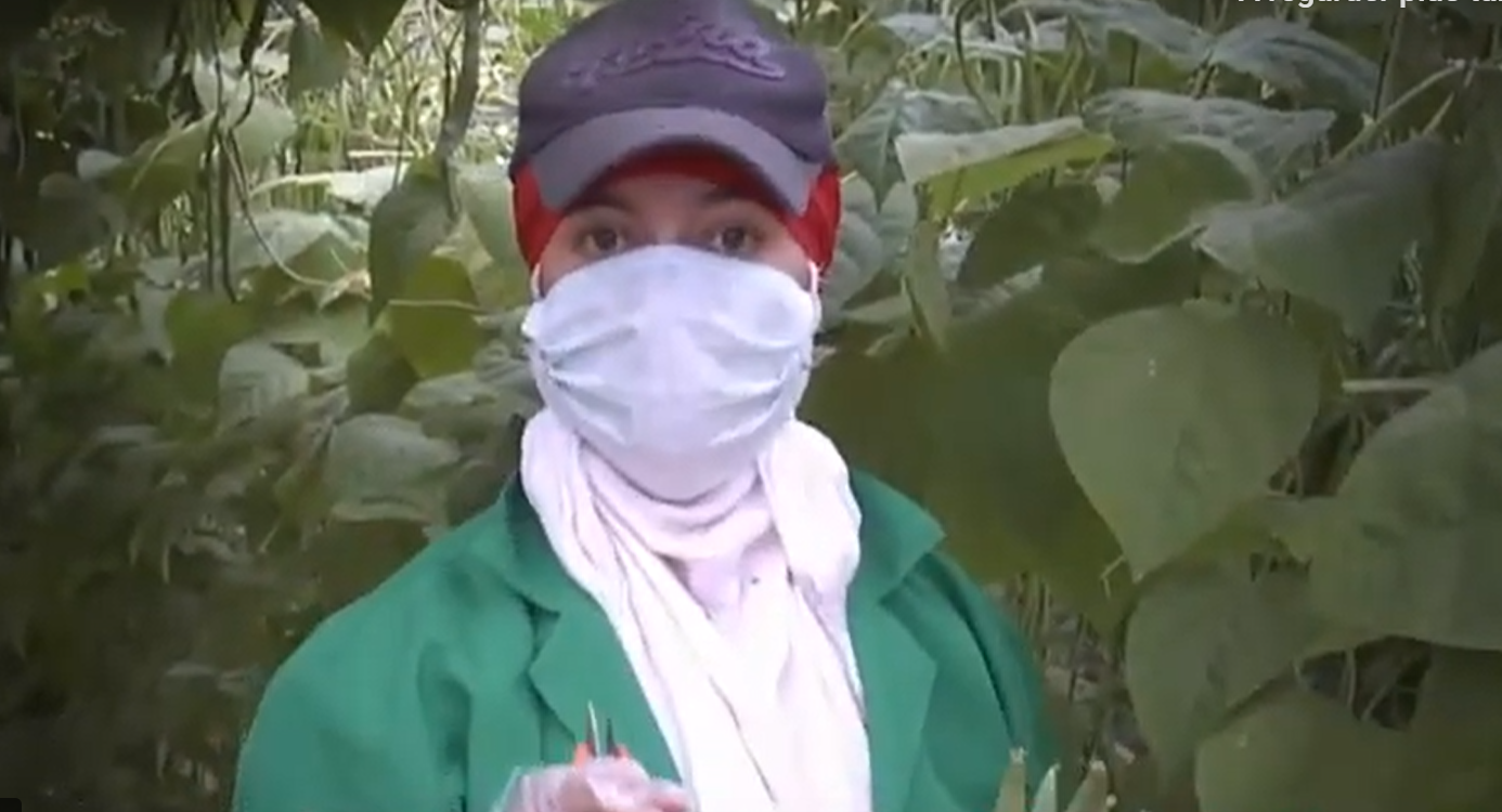 Restez à la maison, les fruits et légumes du Maroc sont là !