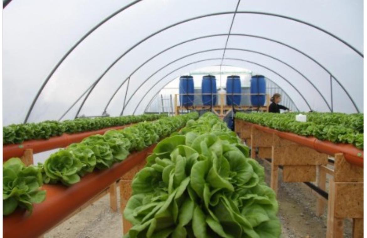 Nouvelle production agricole avec réutilisation de l&rsquo;eau