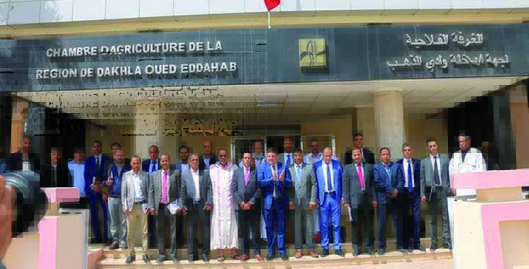 Génération Green: Les agriculteurs de Dakhla ont le vent en poupe