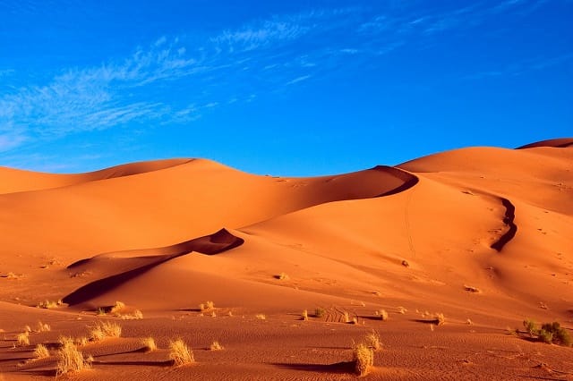 Boujdour : des projets hydro-agricoles d’envergure pour une agriculture durable au cœur du Sahara