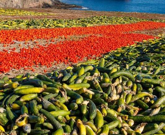 La concurrence marocaine engendre la destruction de plusieurs tonnes de produits agricoles