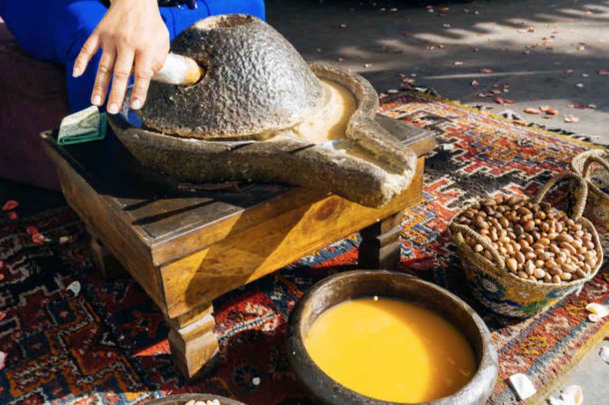  تخليدا لليوم العالمي لمكافحة التصحر.. هذه أهم التوصيات التي أصدرتها جمعيات محمية المحيط الحيوي للأركان