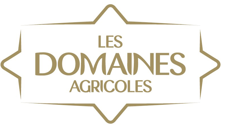 Sweet Cott : La nouvelle pépite Les Domaines, dévoilée lors du Fruit Logistica 2024