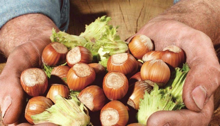 Exonération de droits de douane pour de nouveaux produits