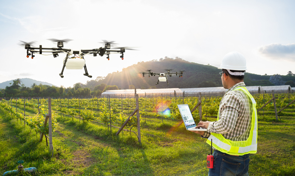 A drone spraying pesticide over a farm
