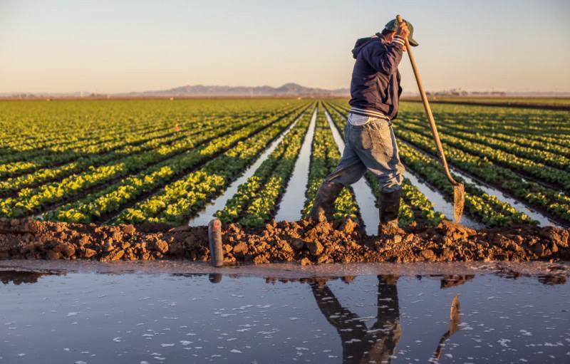 Rabat-Salé-Kénitra: la réserve des barrages à usage agricole atteint un taux de 62%