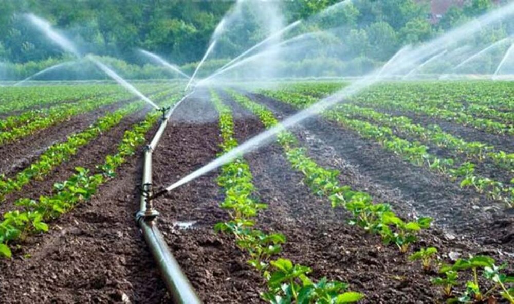 Le Maroc réduit l&rsquo;irrigation des terres agricoles de Souss-Massa en raison du manque d&rsquo;eau