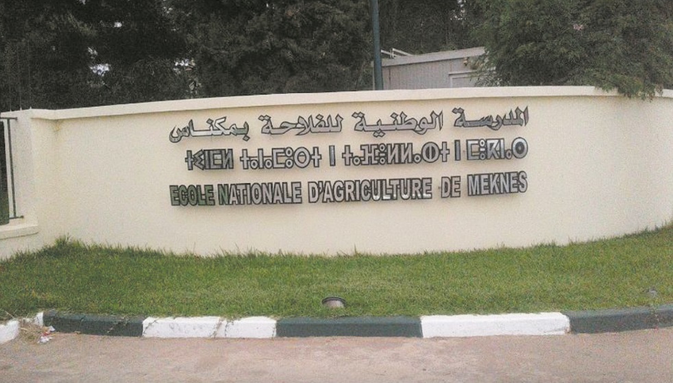 L&rsquo;ENAM organise un forum autour de la digitalisation de l&rsquo;agriculture marocaine