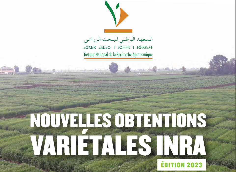 INRA: دليل الأصناف الجديدة من الحبوب و القطاني و البذور الزيتية 2023 أصبح متاحا