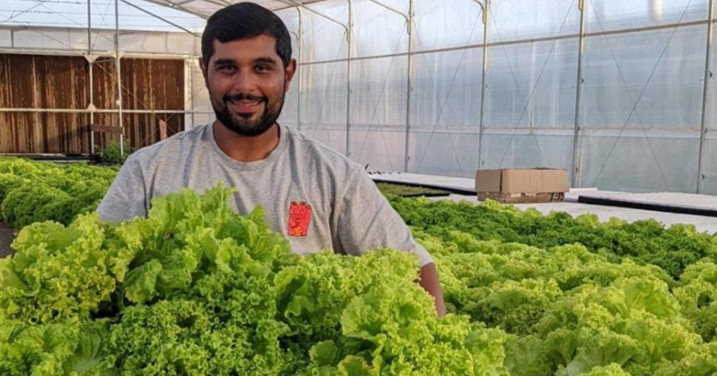 Emirats Arabes Unis : Un agriculteur transforme une terre aride en oasis