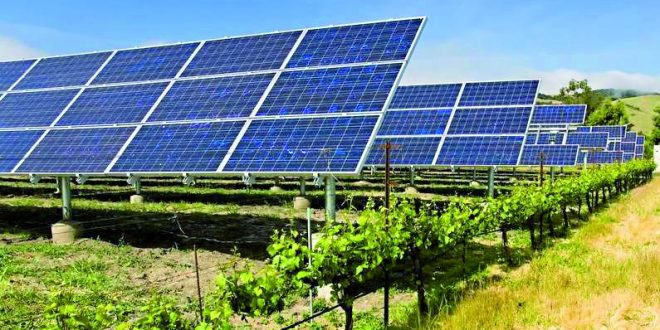 Energie renouvelable, une opportunité de taille pour l'agriculture au Maroc