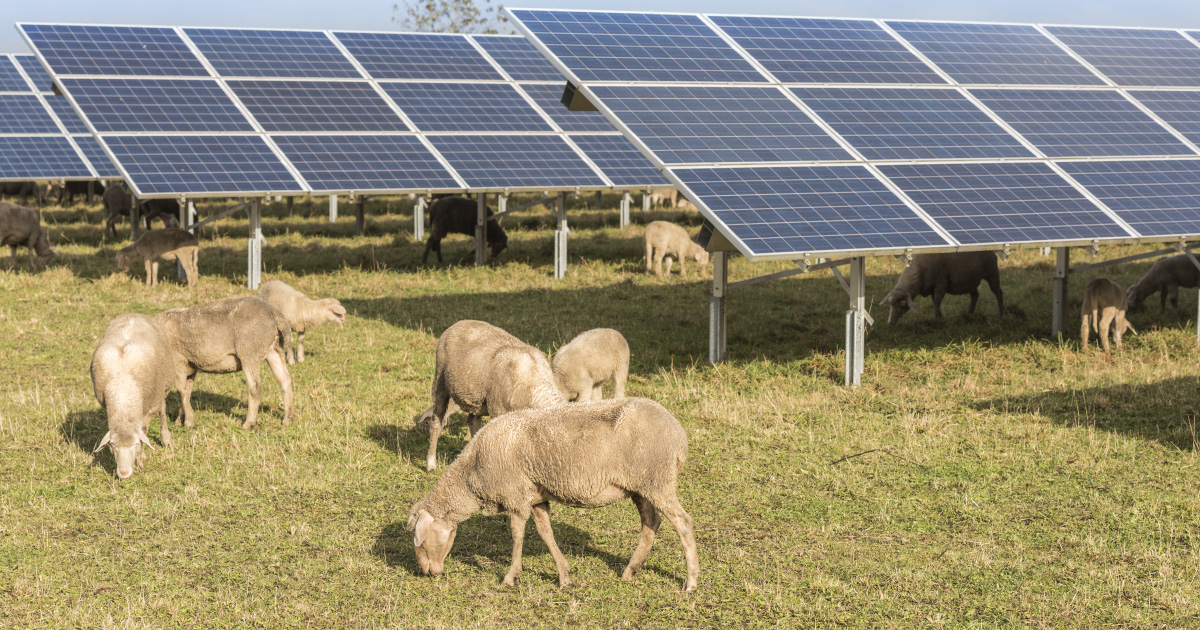 Taroudant: Engie intègre l&rsquo;énergie solaire à l&rsquo;agriculture irriguée