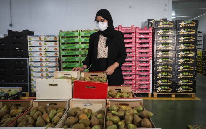 Success Story: Une famille marocaine fait fortune en Espagne