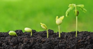 Fès: 3e édition du forum régional de l’agriculture durable
