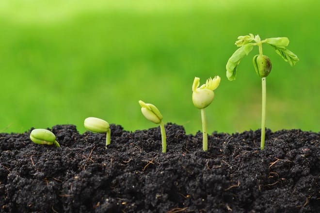 3ème Forum régional de l&rsquo;agriculture durable à Fès