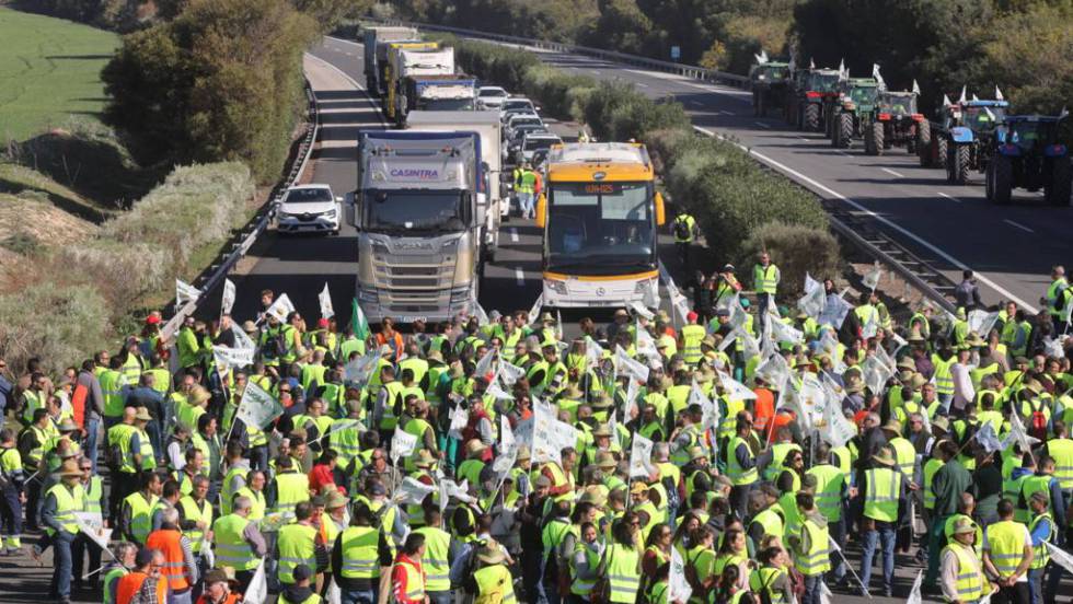 La CETM en Espagne déplore la destruction de produits agricoles marocains