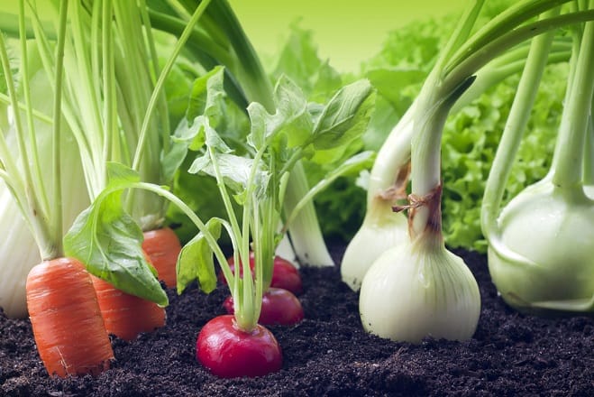Produits biologiques: Les exportations en hausse
