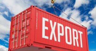 Égypte-Russie ligne maritime pour renforcer les exportations agricoles