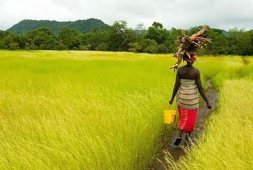 Terres agricoles: Le Sénégal souhaite l&rsquo;équité pour les femmes