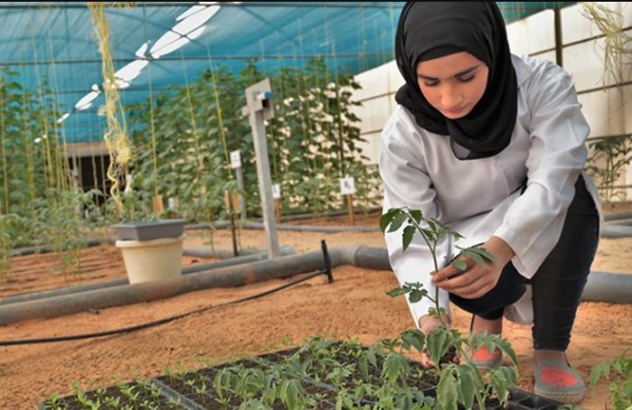 Secteur des fruits et légumes : un prix mondial pour les femmes
