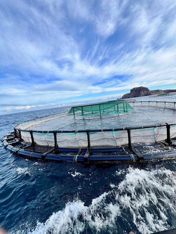 Le Ministre Sadiki visite des fermes aquacoles dans la région de l’Orienral