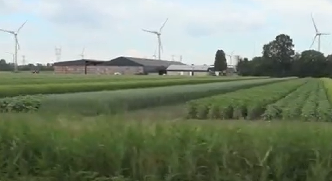 Superficies cultivées : Les agriculteurs américains sont de plus en plus grands