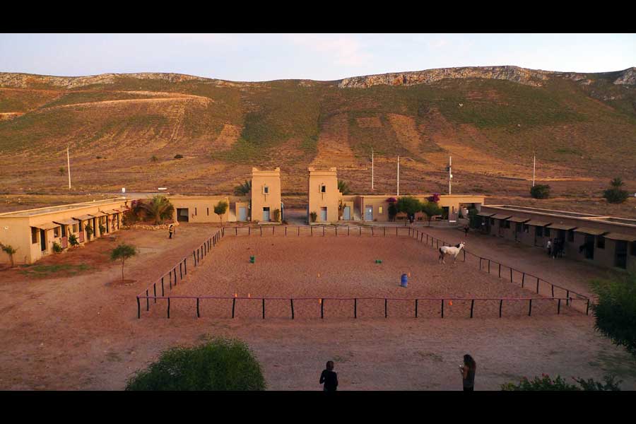 Maroc: Un qatari va construire la plus grande ferme équestre
