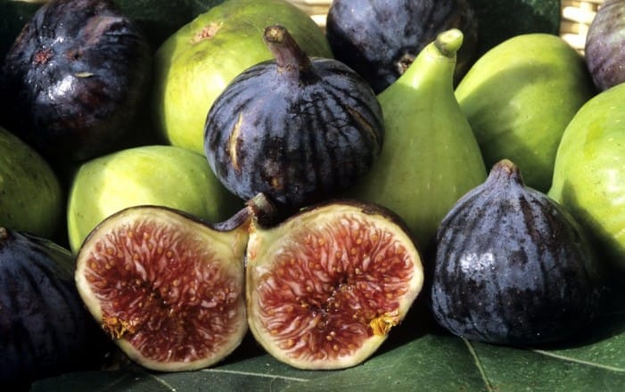 5ème édition du festival national des figues à Taounate