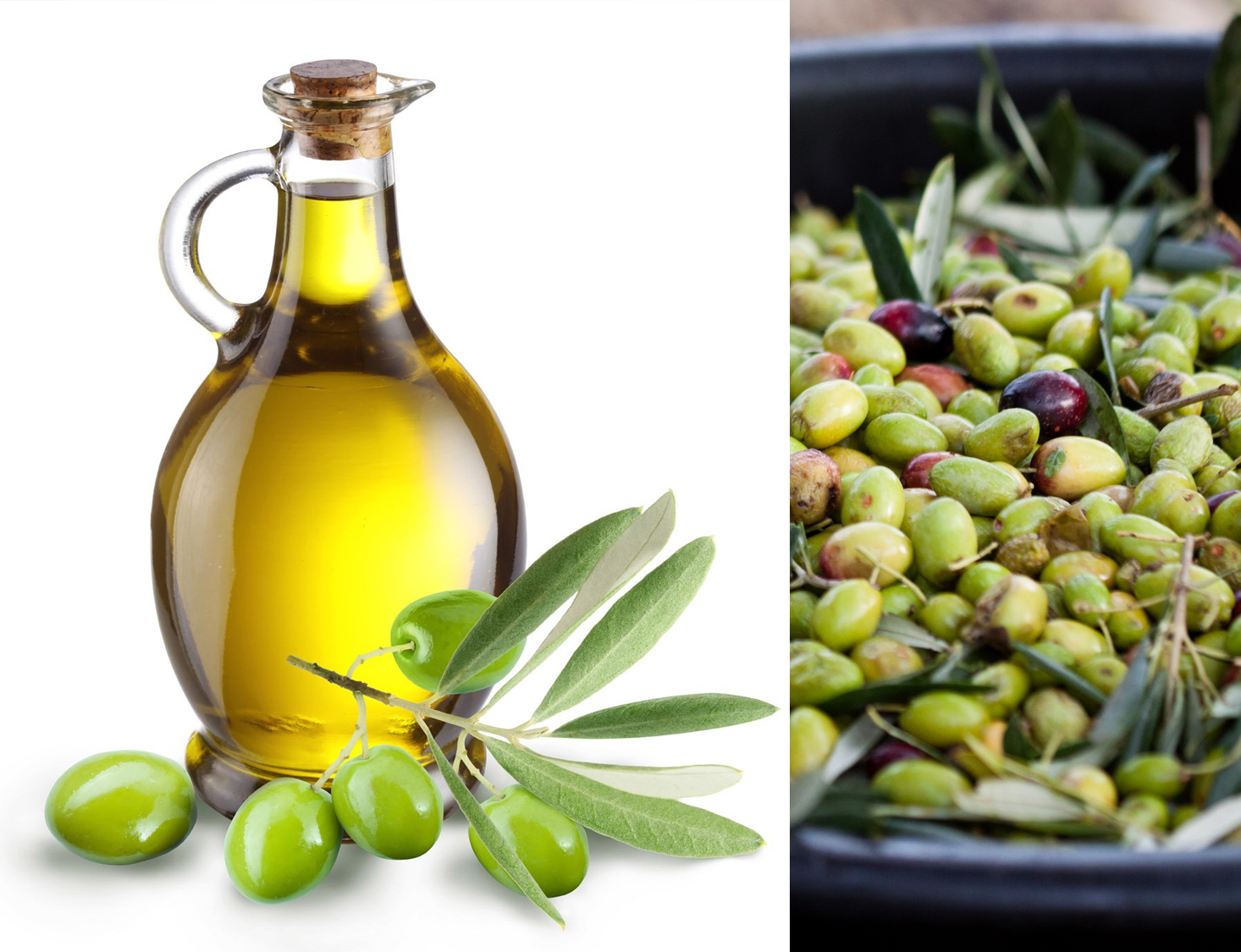 Oléiculture : Après Sefrou, Taounate voit sa production d&rsquo;olives baisser