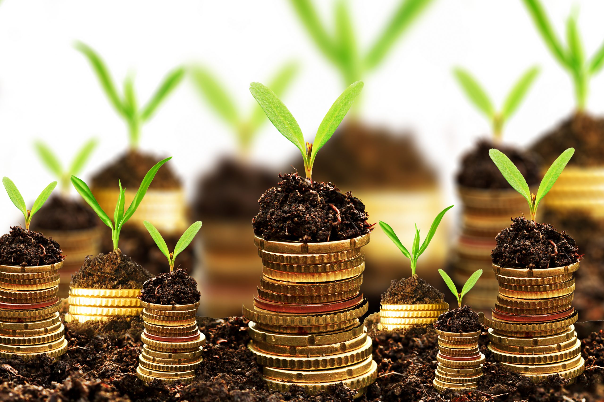 Taxe sur le chiffre d’affaires des exploitants agricoles et la loi de finances 2020