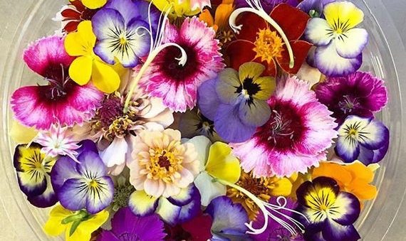 Fleurs comestibles : Le Maroc est parmi les gros concurrents de la France