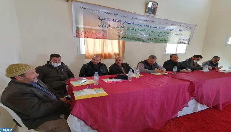 Session de formation pour des jeunes issus de l&rsquo;agriculture à Boulemane