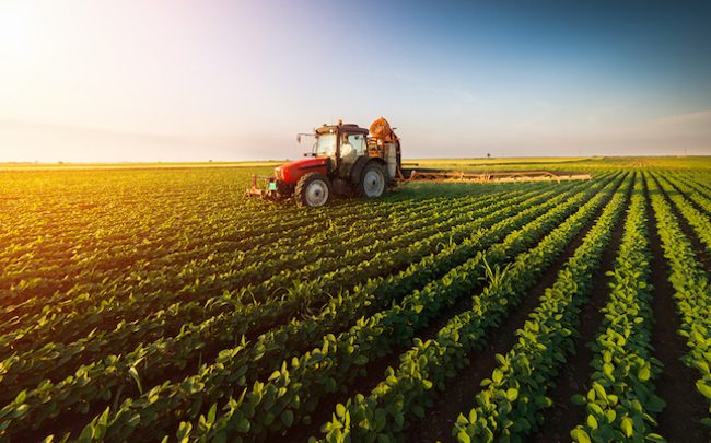 Le Proche-Orient et le Maroc s&rsquo;allient pour l&rsquo;agriculture