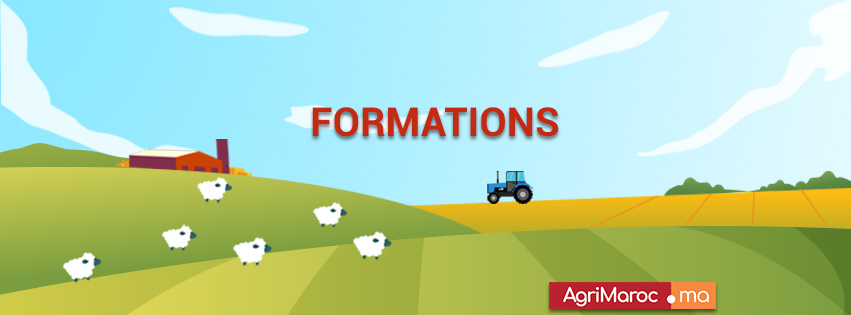 Protégé : Investir dans la formation du personnel agricole