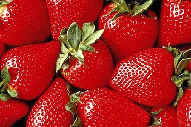 La fraise marocaine inquiète les producteurs espagnols